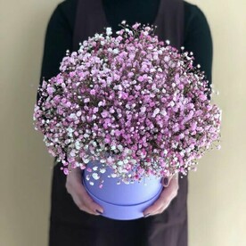 Радужное Созвездие