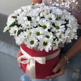 Белое солнце