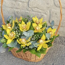 Солнечные зайчики