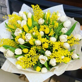 Мимоза в цвету