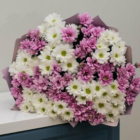 Хризантема