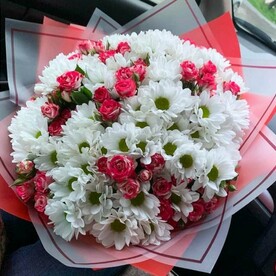 Хризантема