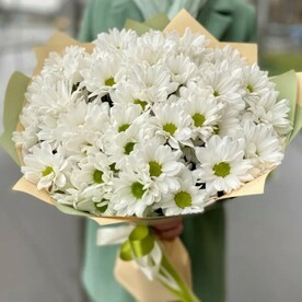 Нежные хризантемы