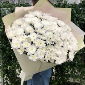 Махровые хризантемы