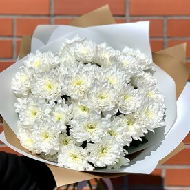 Хризантема