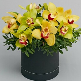 Оранжевый 🍊