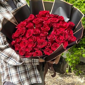 Бордовые розы