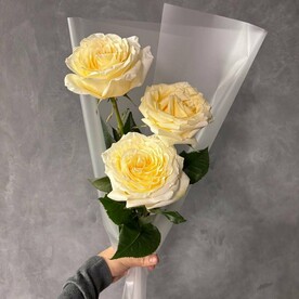 Моно букет с французскими ароматными  розами.