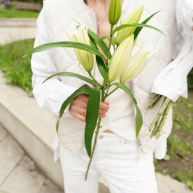 Лилия белая, ароматная