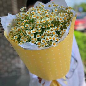 Букет ромашек