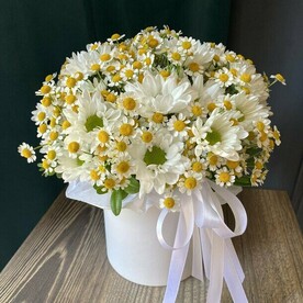 Микс ромашек