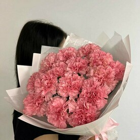 15 розовых диантусов