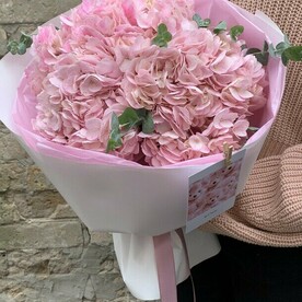 Облако гортензий