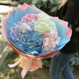 Букет из 5 нежных гортензий
