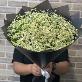 Букет из танацетума