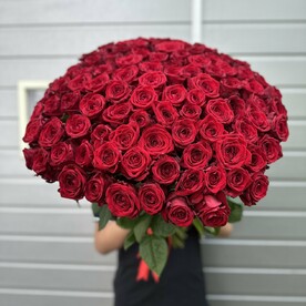 101 роза под лента 🎀