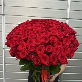 101 роза под лента 🎀