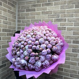 151пионы 😍😍😍