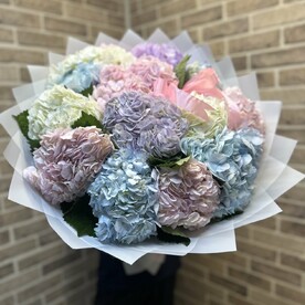 Букет из 13 Гортензии