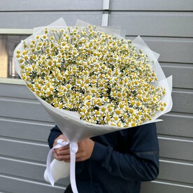 Ромашка для Любимой 💕