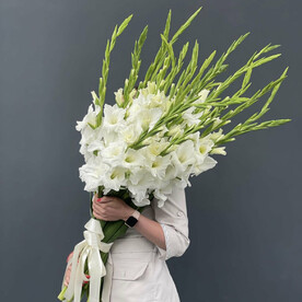 25 белых гладиолусов