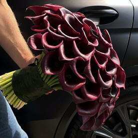 51 черная калла