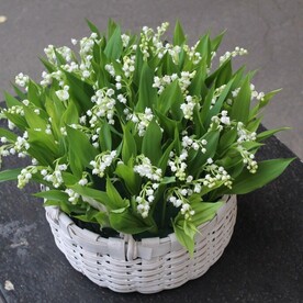 Лукошко с 75 ландышами