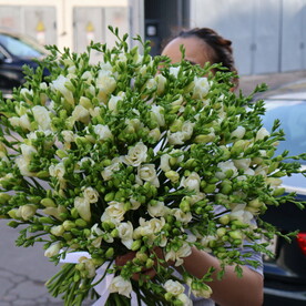 151 белая фрезия