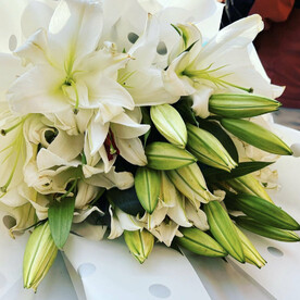 11 Белых лилий