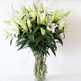 25 белых лилий в вазе