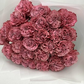 Красотки Кантри Блю