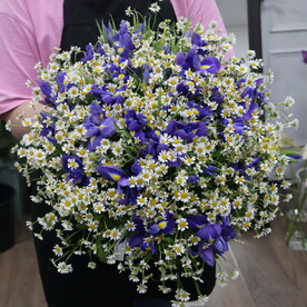 Полевой микс из ирисов и ромашек