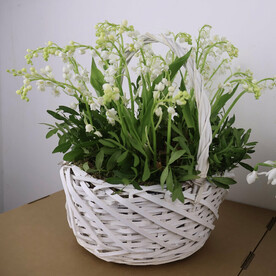 Корзина 25 ландышей