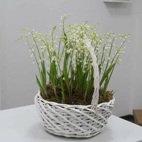 Весенний островок