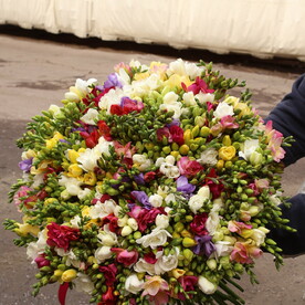 201 Фрезия микс