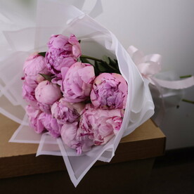 15 нежных красавчиков