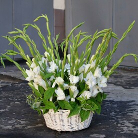 Корзина с гладиолусами