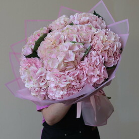 11 крупных розовых гортензий