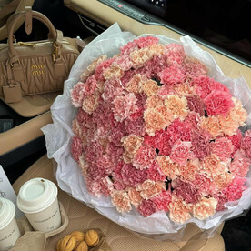 151 нежная гвоздика