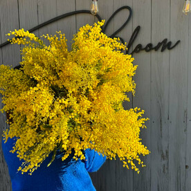 Букет итальянской мимозы