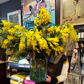 Большой букет мимозы в вазе