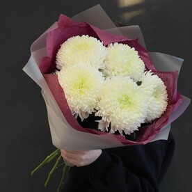 Монобукет из хризантем Магнум