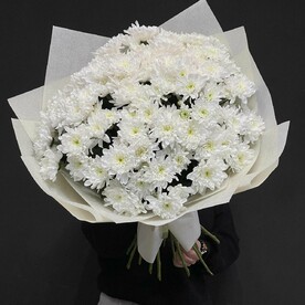 Шикарный букет из премиум махровых хризантем