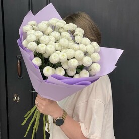 Букет из премиум хризантем Ньютон