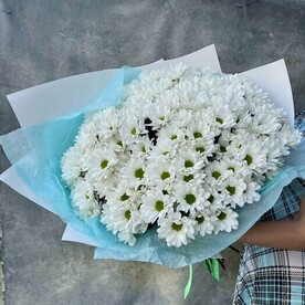 Букет Из 19 Хризантем Бакарди