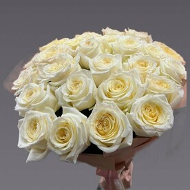 31 Роза Ароматная