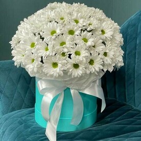 Хризантема В Шляпной Коробке