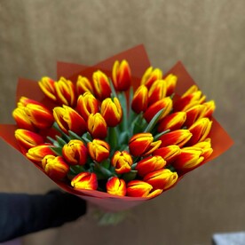 Огненный закат