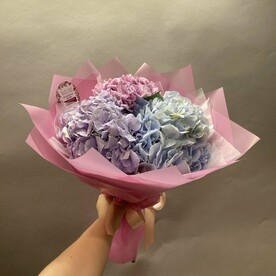 Гортензия радужная