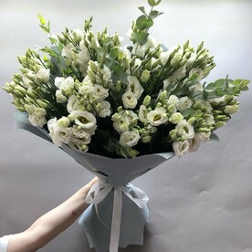 Прекрасные Лизиантусы